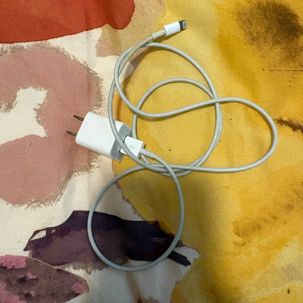 Apple White Lightning Charging Cable with USB Power Adapter